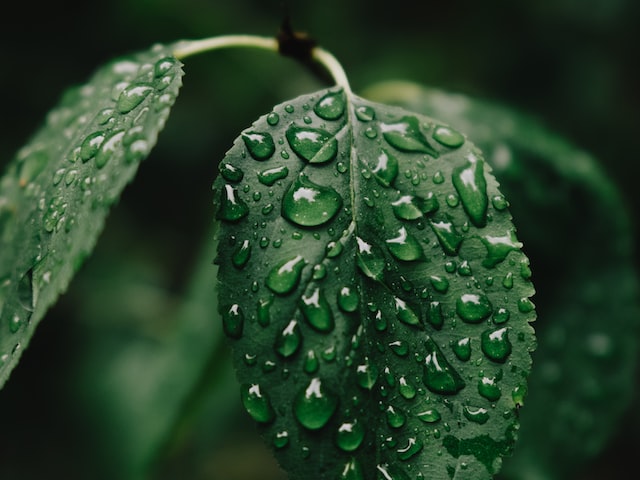 小雨淅淅，夹杂着秋天的味道