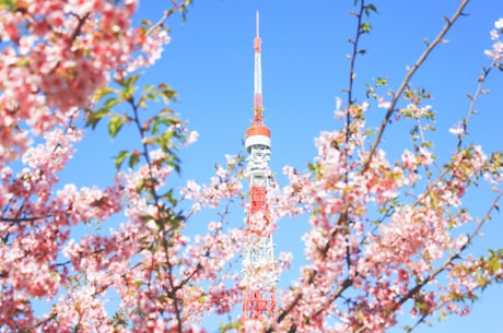 东京电视塔(东京电视塔——日本最著名的地标之一)