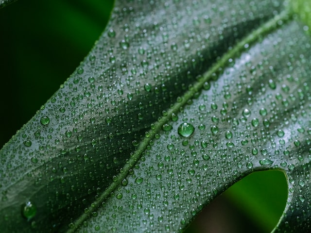 恒温恒湿(打造舒适宜居的家居环境-恒温恒湿装修指南)