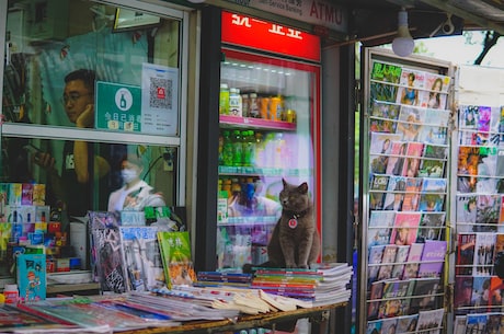 现世报(《现世报》报道：暴雨导致洪水，多地受灾)