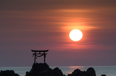 上海绿领巾(上海兰花「绿领巾」3月28日售票，携手华东师大育才中学尽享春光)