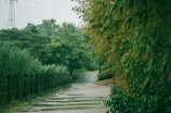 郑州特大暴雨千年一遇(郑州特大暴雨千年一遇引全国关注)