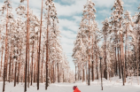 滑雪装备(滑雪装备的选择与技巧)