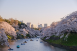 东京都，一座现代化的都市