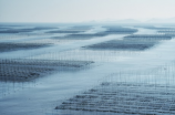 霞浦杨家溪(霞浦杨家溪：一抹美丽的风景线)